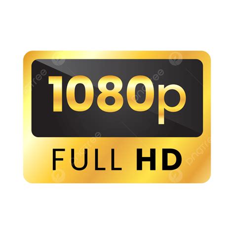 xxx 1080p|Hd 1080p Porn HD Videos for Free